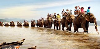 Vé máy bay đi Buôn Mê Thuột giá rẻ