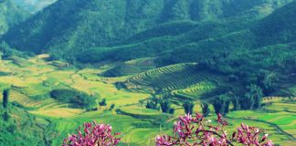 Vé máy bay đi Điện Biên giá rẻ