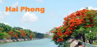 Vé máy bay đi Hải Phòng giá rẻ