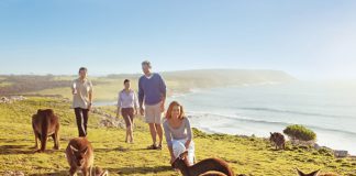 Vé máy bay đi Úc giá rẻ