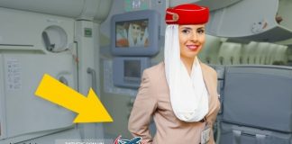 Tại sao khi đứng chào khách, tiếp viên lại vòng tay sau lưng?