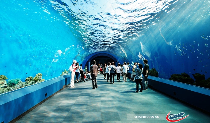 Thủy cung Siam Ocean World - Thái Lan
