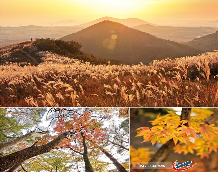 Mùa thu trên đảo Jeju