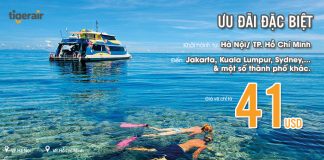 Du lịch ấn tượng cùng Tiger Air – Ưu đãi giá vé chỉ từ 41 USD
