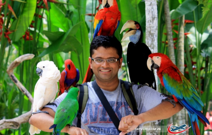 Trải nghiệm công viên chim ở Kuala Lumpur
