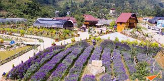 Một hành trình tuyệt đẹp ở Cao nguyên Bắc Hà