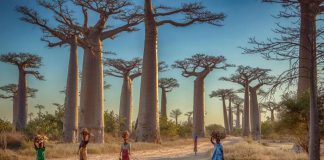 Madagascar – Nơi những điều kì lạ nhất có thể xảy ra