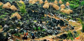 Đặt chân đến những cao nguyên đẹp nhất trời Nam