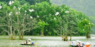 Ninh Bình đẹp quên đường về qua từng điểm đến (P2)