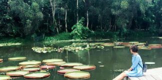 Du ngoạn cảnh đẹp miền Tây mùa nước nổi