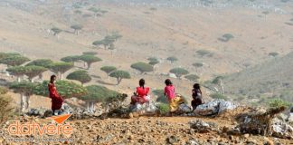 Những điểm đến đẹp có 1-0-2 trên thế giới ở Trung Đông