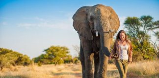 Nhận định sai lầm khi du lịch Châu Phi