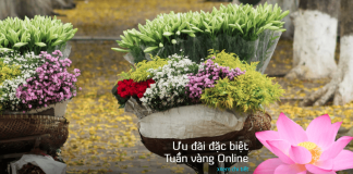 Vietnam Airlines ưu ái hành trình bay quốc tế chỉ từ 99 USD đến giữa năm 2018 VNA KM vé khứ hồi bay quốc tế chỉ từ 99 USD