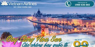 Bay cùng Hoa sen các chặng quốc tế – Vé siêu rẻ chỉ từ 99 USD KM Vietnam Airlines chặng bay quốc tế