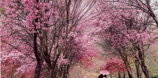 7 địa điểm du lịch lý tưởng những ngày đầu xuân Những điểm đến du lịch đầu năm 2018