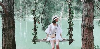 Nên ghé thăm địa điểm nào khi đi du lịch xứ sở ngàn hoa Đà Lạt? Những địa điểm du lịch đẹp ở Đà Lạt