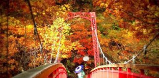 Những lý do khiến du khách yêu mến đất nước Nhật Bản Khung cảnh thiên nhiên Nhật Bản