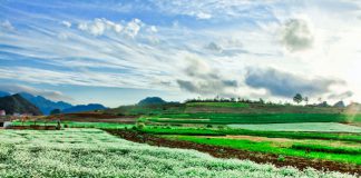 Du lịch mùa thu miền Bắc vui quên lối về với những điểm hẹn gây thương nhớ Những điểm du lịch mùa thu đẹp nhất