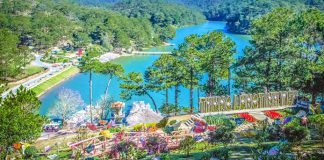 Kinh nghiệm du lịch Đà Lạt tự túc mới nhất Vẻ đẹp đậm chất Châu Âu của thung lũng tình yêu