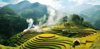 Vé máy bay giá rẻ tháng 8/2020 bao nhiêu?