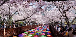 Tháng 3 nên đi du lịch nước nào châu Á, châu Âu, châu Mỹ? Tháng 3 nên đi du lịch nước nào?