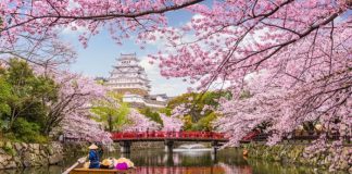 Tháng 3 nên đi du lịch ở đâu? Tháng 3 nên đi du lịch ở đâu đẹp nhất, lý tưởng nhất?