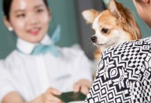 Quy định vận chuyển vật nuôi trên máy bay Korean Air Vận chuyển thú cưng trên máy bay Korean Air