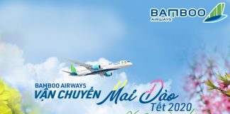 Dịch vụ vận chuyển đào mai đón Tết từ Vietnam Airlines và Bamboo Airways Dịch vụ vận chuyển đào, mai đón Tết từ Vietnam Airlines và Bamboo Airways