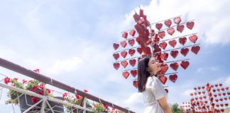 Khu du lịch Bửu Long Đồng Nai – Điểm đến lý tưởng không phải ai cũng biết Khu du lịch Bửu Long Đồng Nai – Điểm đến lý tưởng không phải ai cũng biết