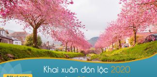 Khai xuân cùng Vietnam Airlines khuyến mãi giảm 20% Khai xuân cùng Vietnam Airlines khuyến mãi giảm 20%