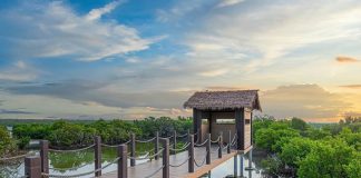 Về với thiên nhiên hoang sơ tại hòn đảo Purple ở Qatar