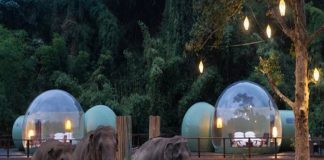 Khám phá nhà bong bóng trong chuyến du lịch Thái Lan