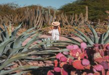 Chuyến du lịch thú vị tại thành phố Tempe vùng Arizona