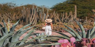 Chuyến du lịch thú vị tại thành phố Tempe vùng Arizona