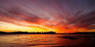 Khám phá những bãi biển đẹp ấn tượng của Sydney