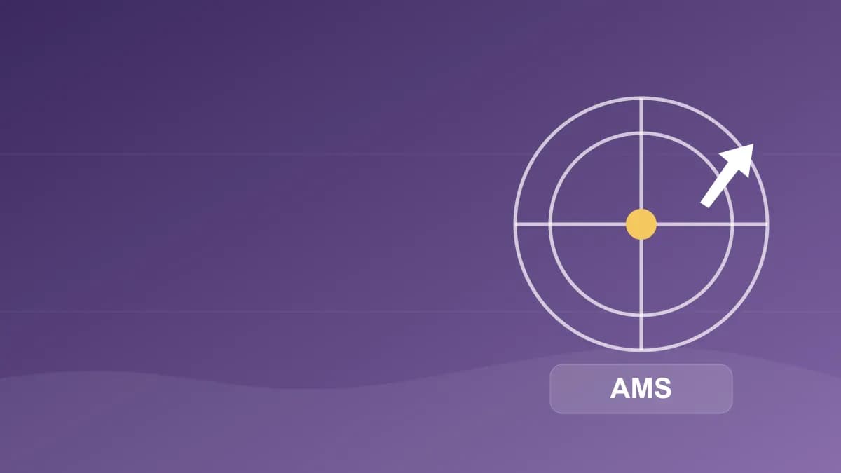 Sơ đồ kiểm tra vé và hành lý tại sân bay Amsterdam Schiphol AMS do Datvere thiết kế